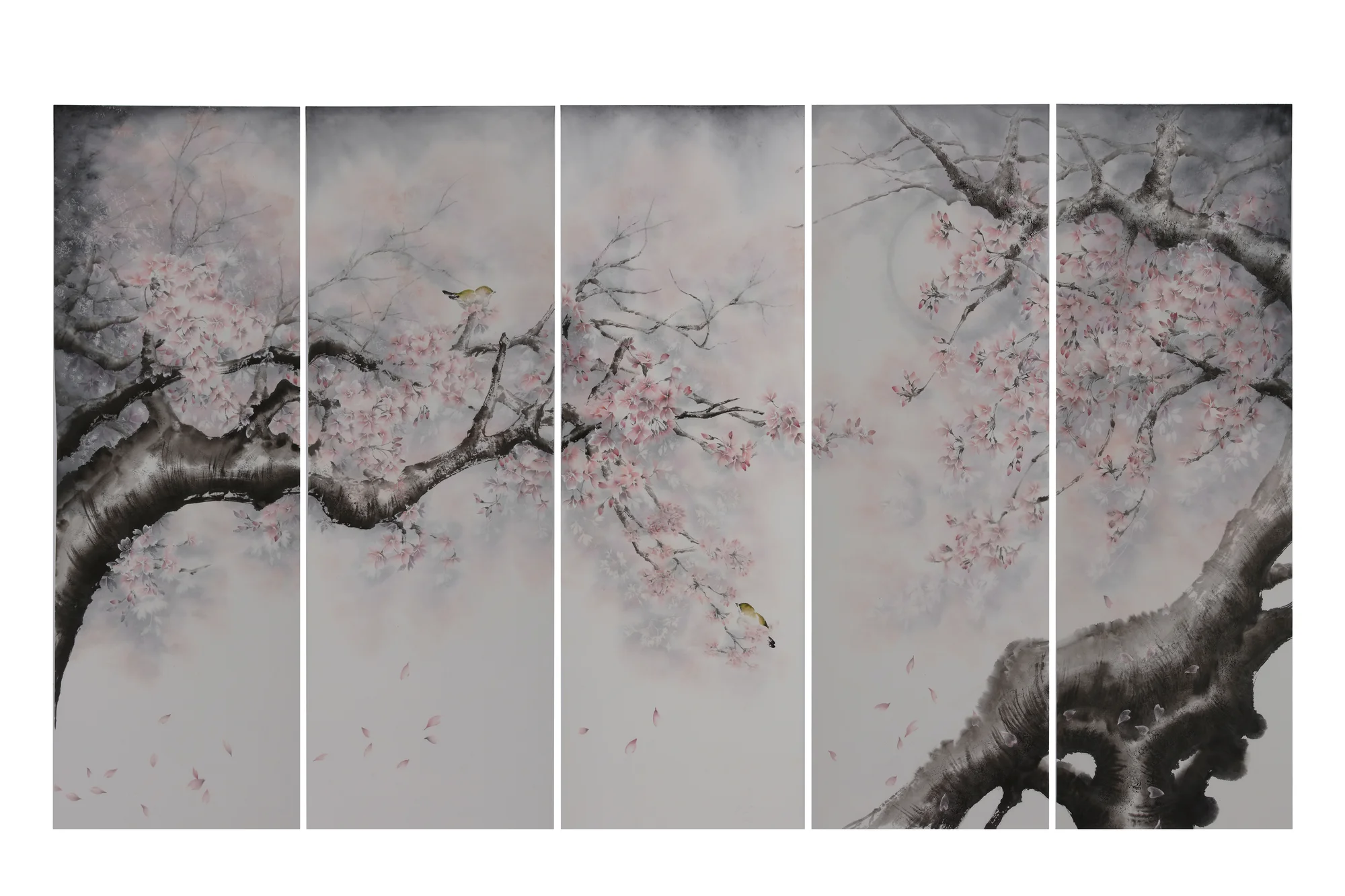 春舞