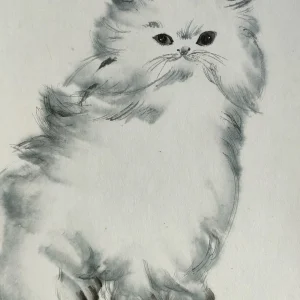 シャム